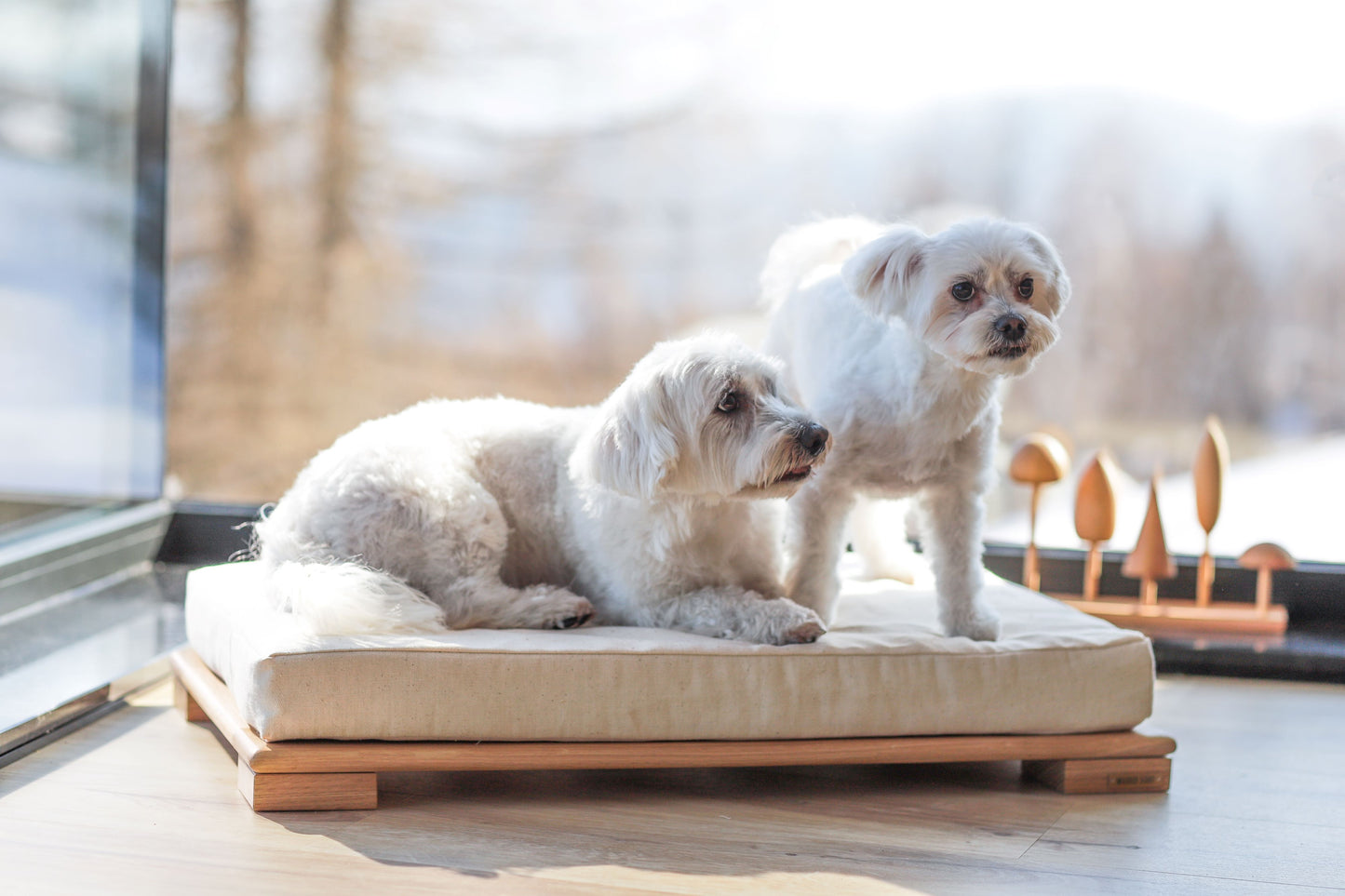 pet bed No.04