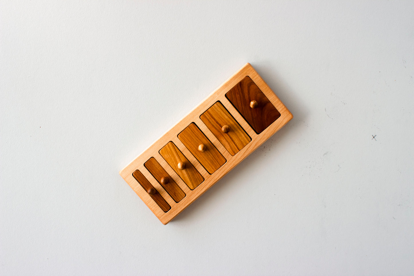 Montessori Wide-Thin Puzzle